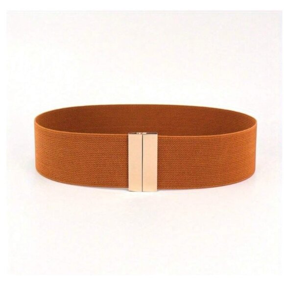 Gold/Brown Elastic Belt - Picture 1 of 2